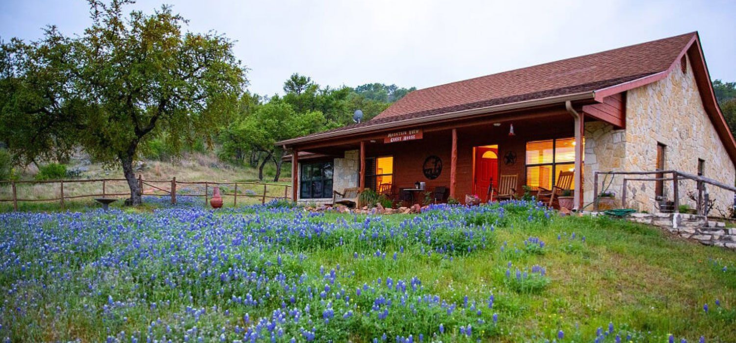 A house is sitting in the middle of a field of blue flowers.