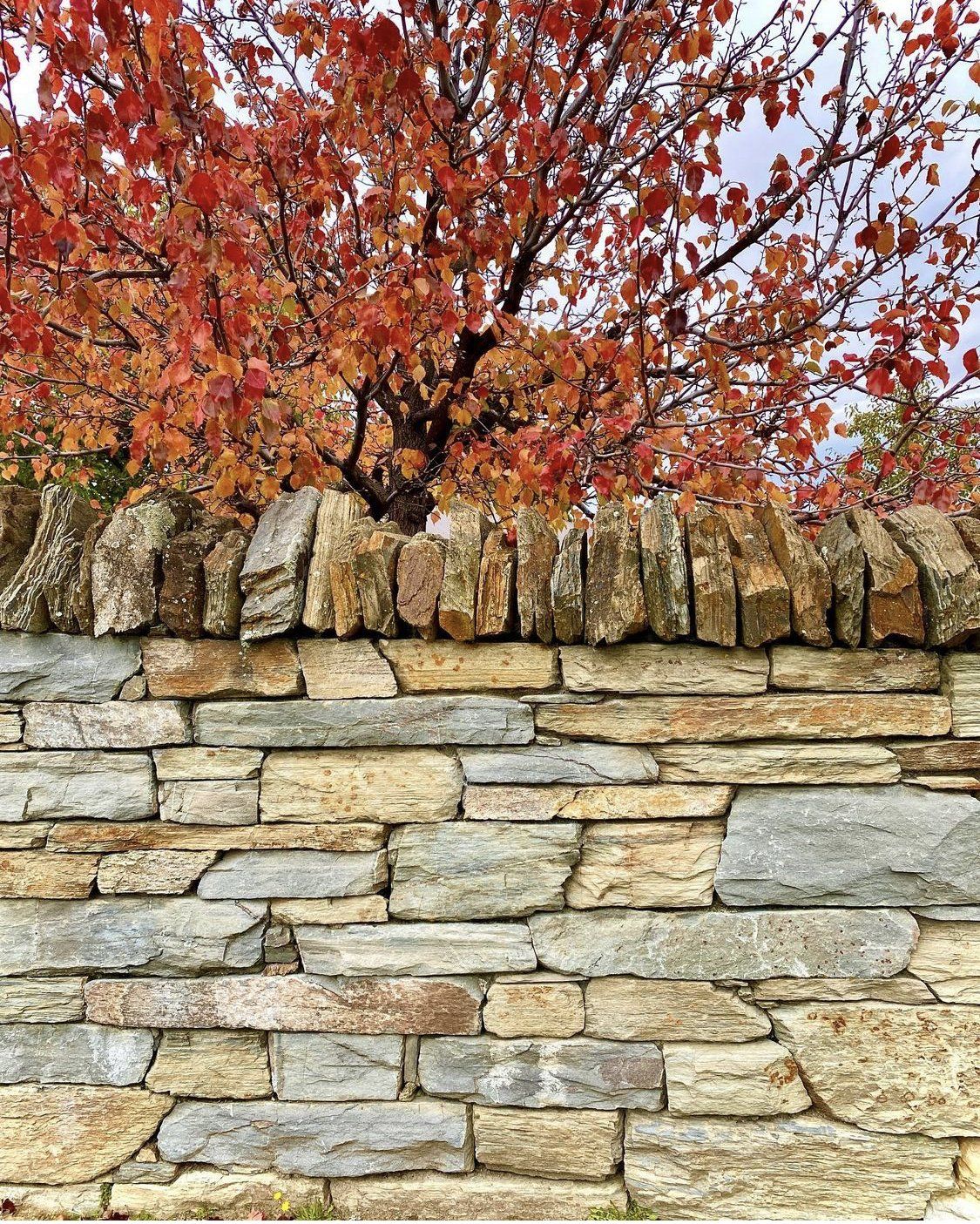 schist stonewall