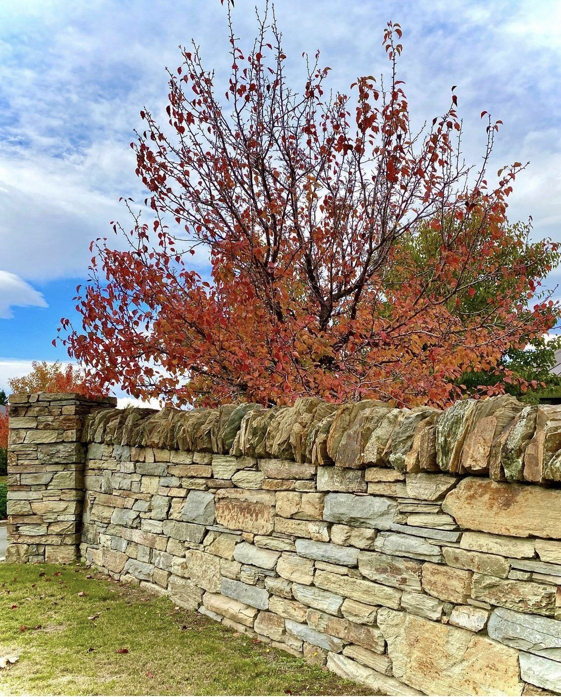 schist stone