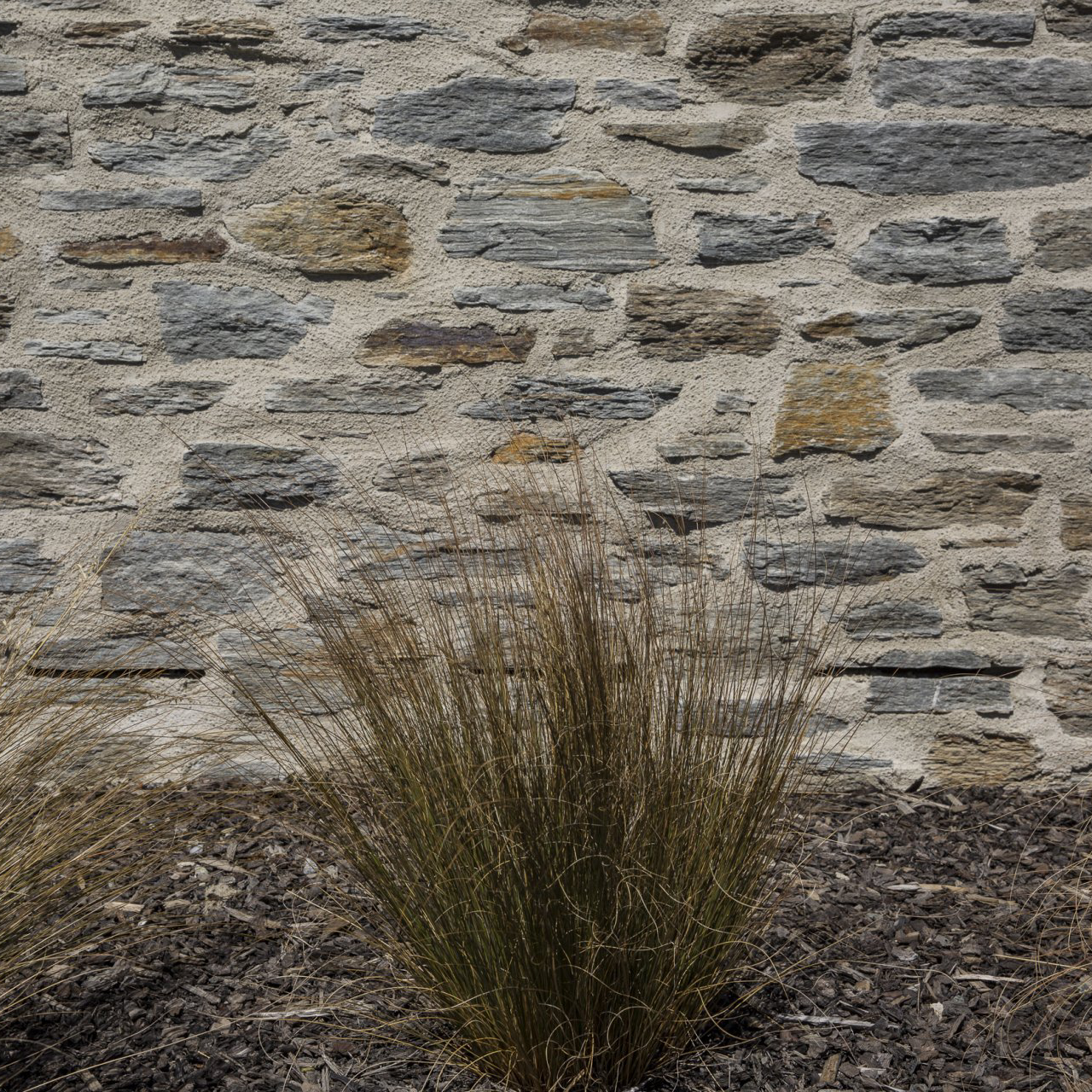 Bagged Mixed Schist