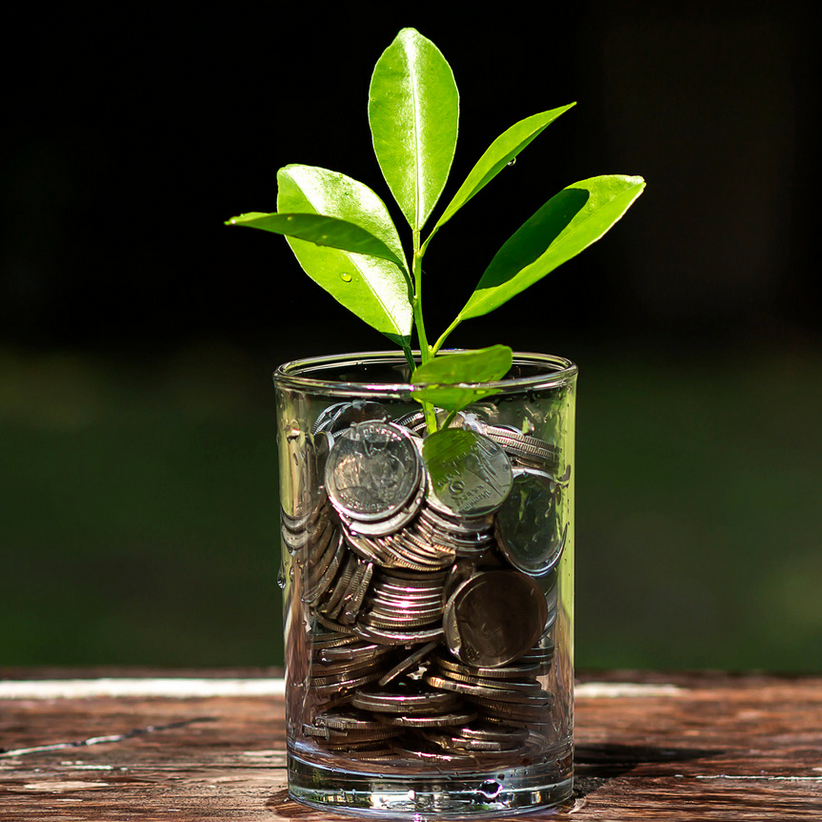 A plant is growing out of a glass filled with coins.