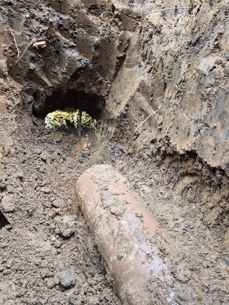 Mud-filled trench with a rusted cylindrical pipe and a small hole in the dirt wall