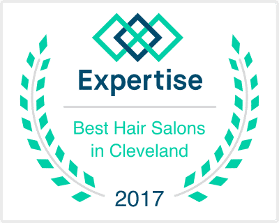 Expertise 2017