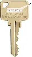 Gold-colored house key with the word “AYESO” engraved on the head