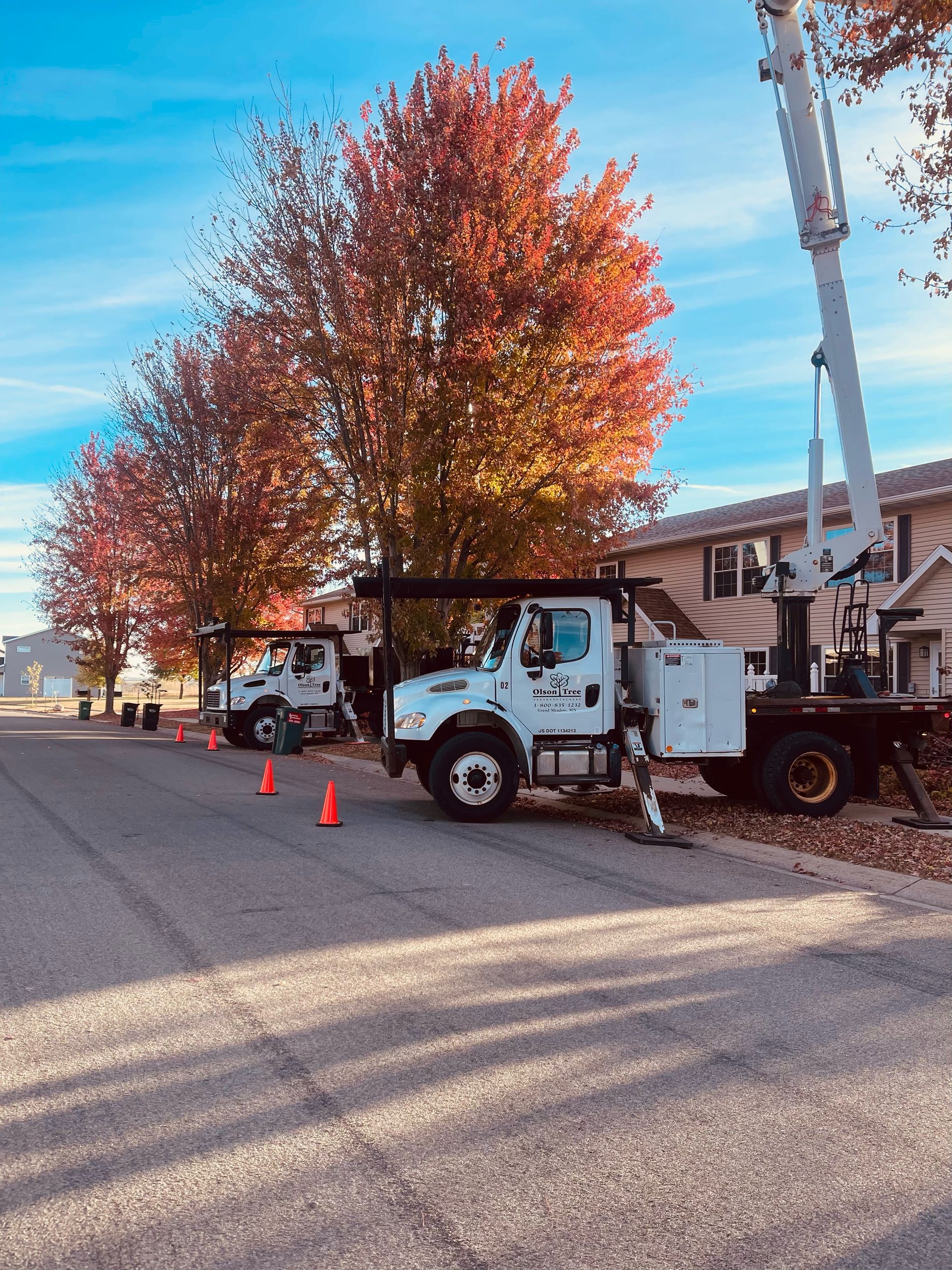 Tree Care Services | Olson Tree Services | Grand Meadow, MN