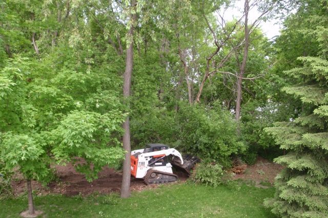 A bulldozer is driving through a lush green forest.
