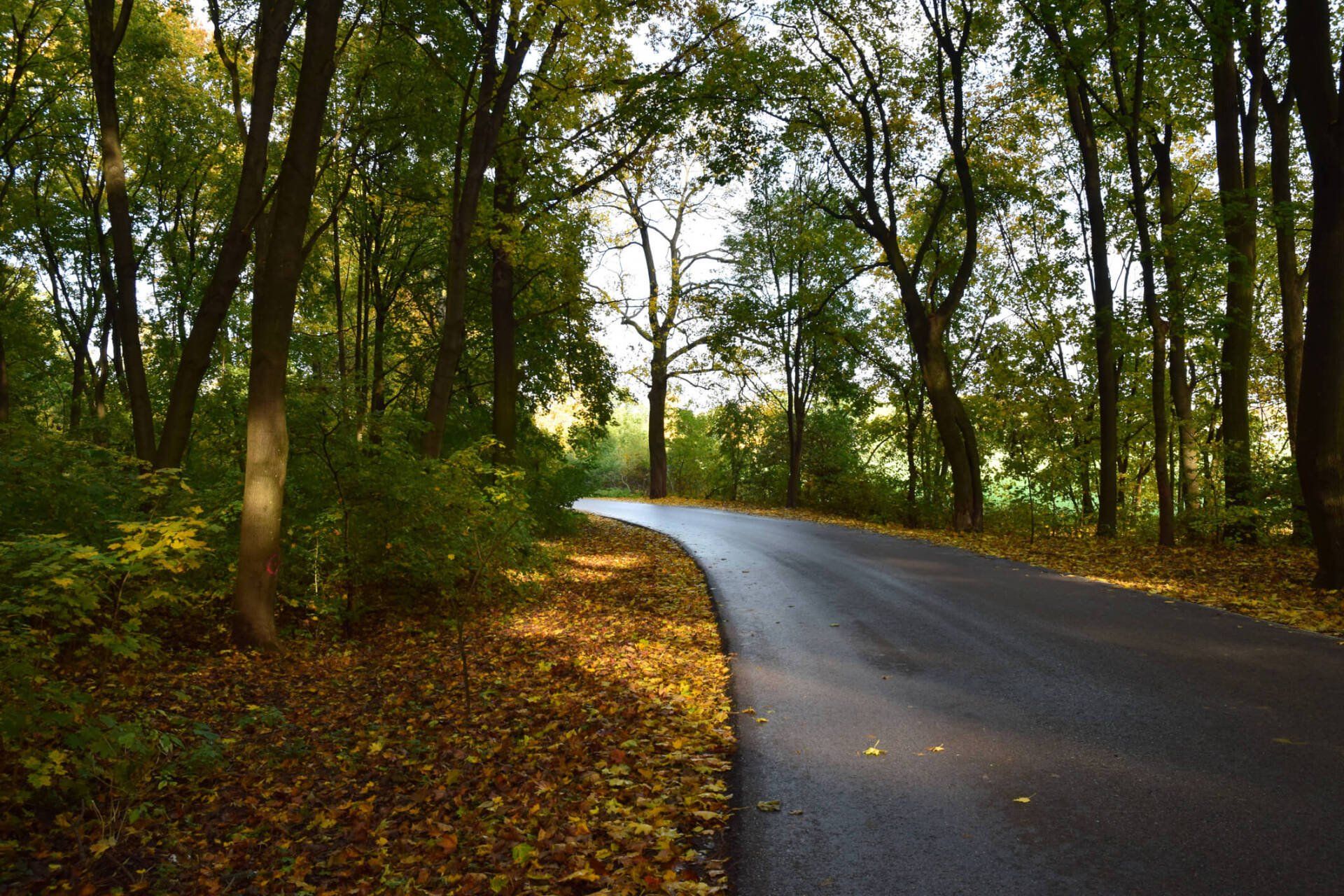 Private Road — Hillsborough, NC — Ace Asphalt