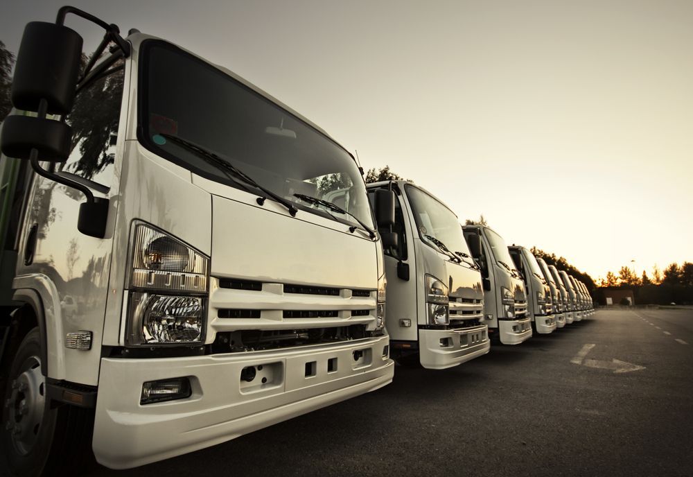 A Line of Identical White Commercial Trucks Parked in a Row Outdoors at Sunset — Far North Windscreens in Mareeba, QLD