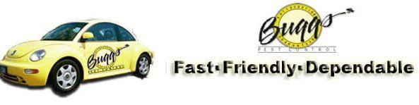 Buggs Pest Control Buggs Pest Control