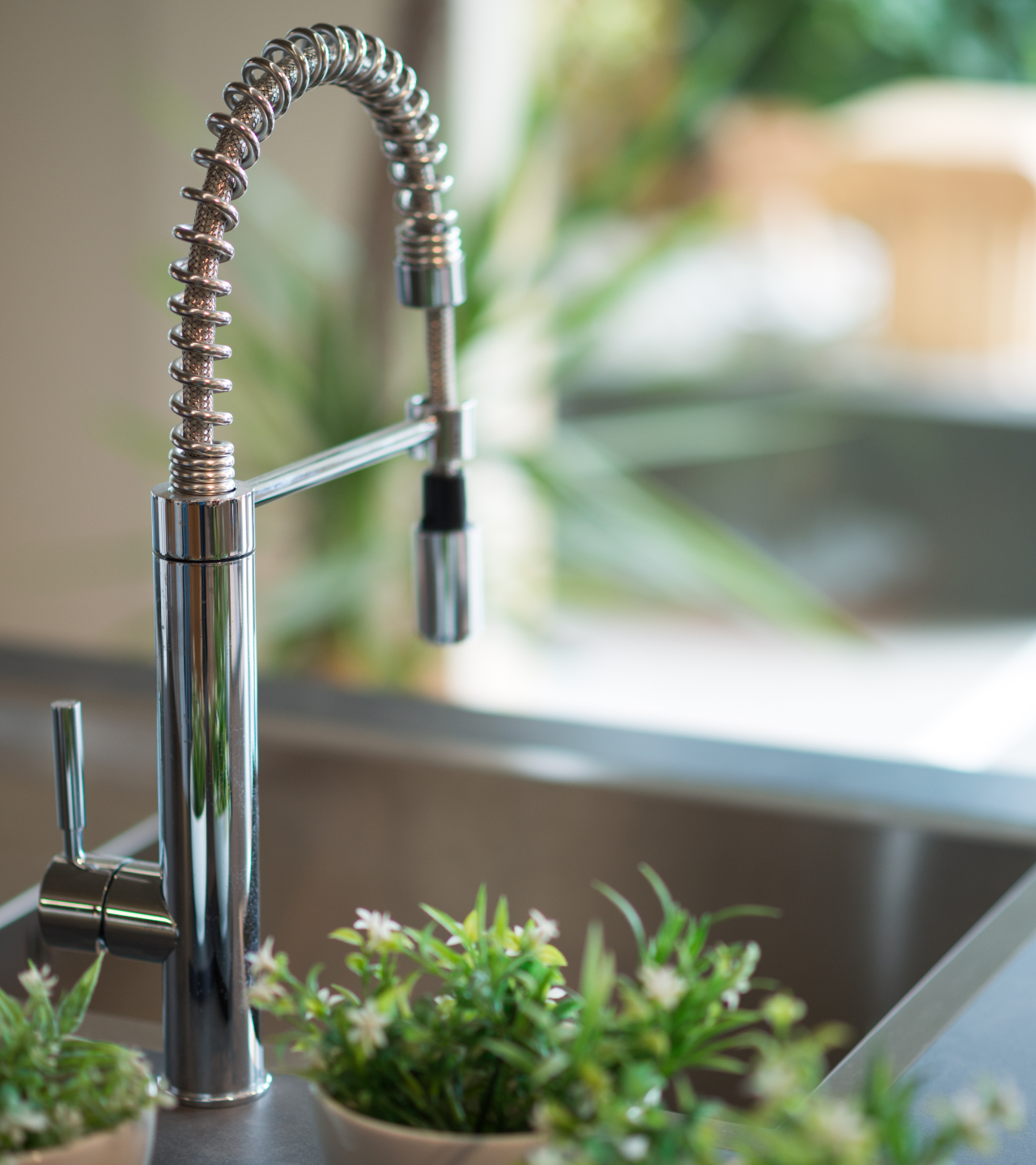 Bathroom with two white bowl sinks on a wood countertop, black faucets, mirrors, and a plant.