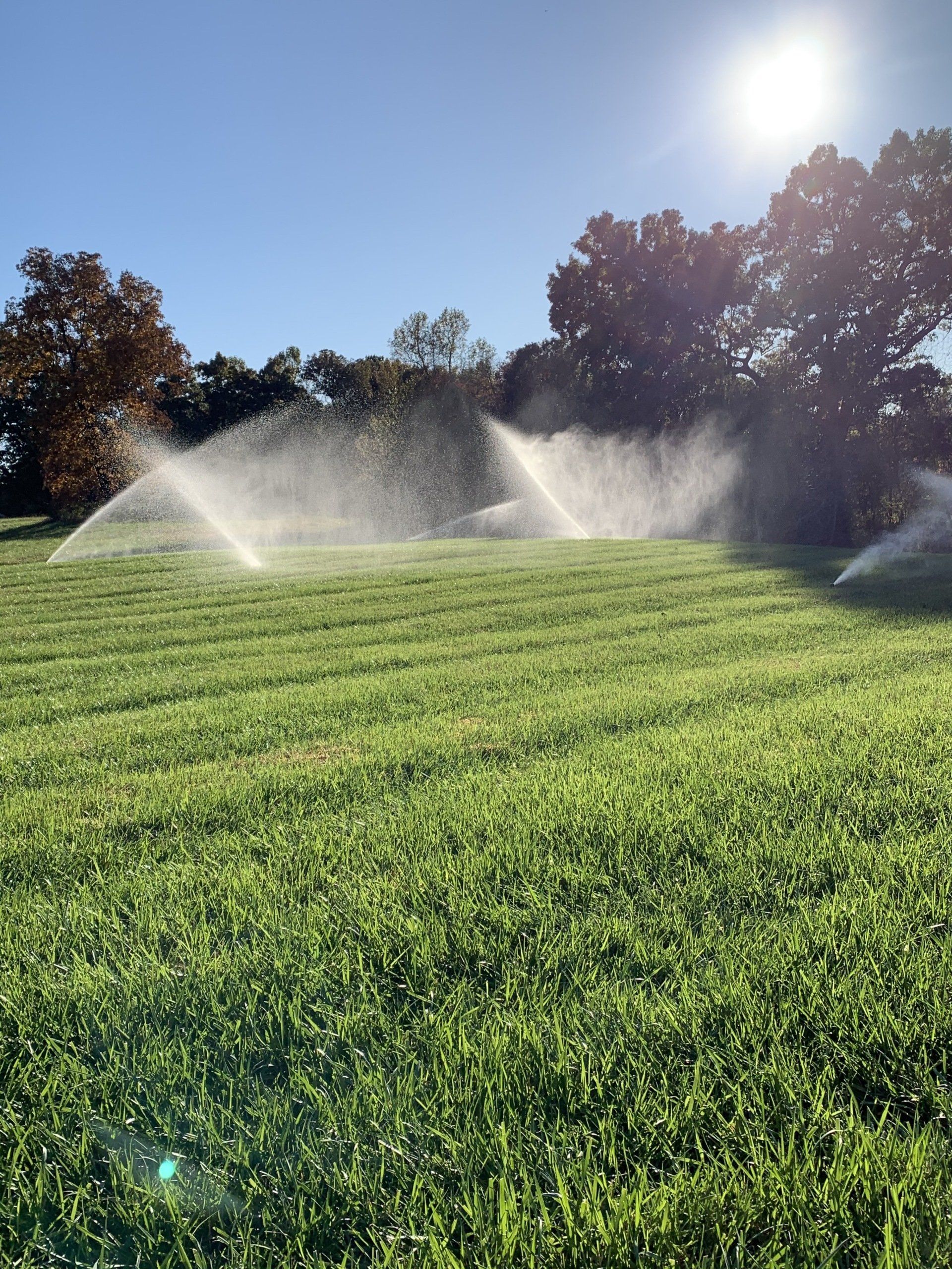 Sprinklers watering a sunlit green lawn under a blue sky with trees in the background