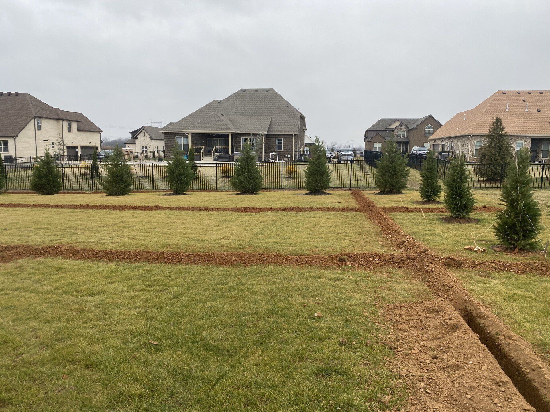 New suburban homes beyond a grassy field with dirt drainage trenches and young trees