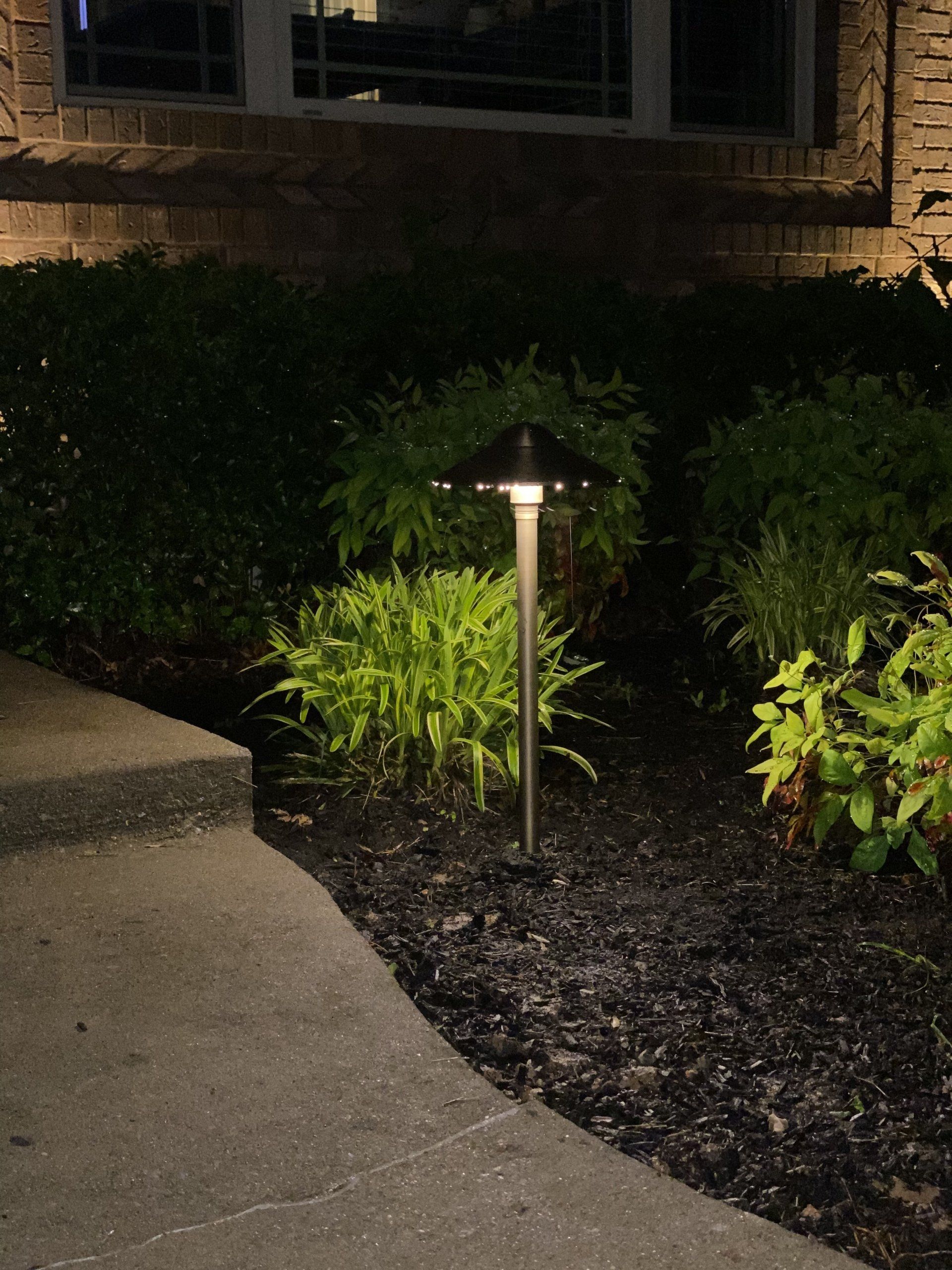Garden path lit by a small landscape light beside shrubs at night