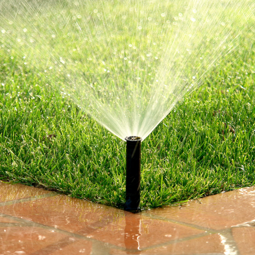 Garden sprinkler spraying water onto green grass and a wet brick edge