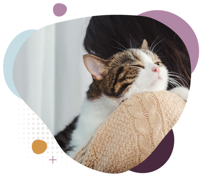 Tabby cat resting its head on a beige knitted sweater.