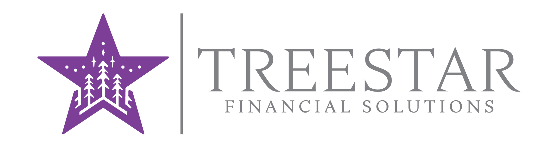 TreeStar Solutions TreeStar Solutions, Taxes for Small Business, payroll services, Bookkeeping Services