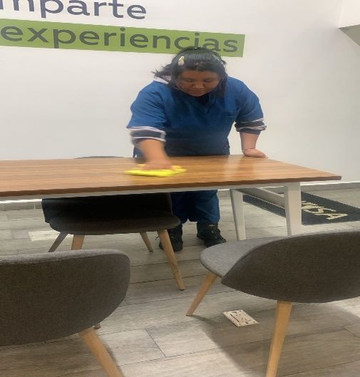 LIMPIEZA EMPRESARIAL BEIZA