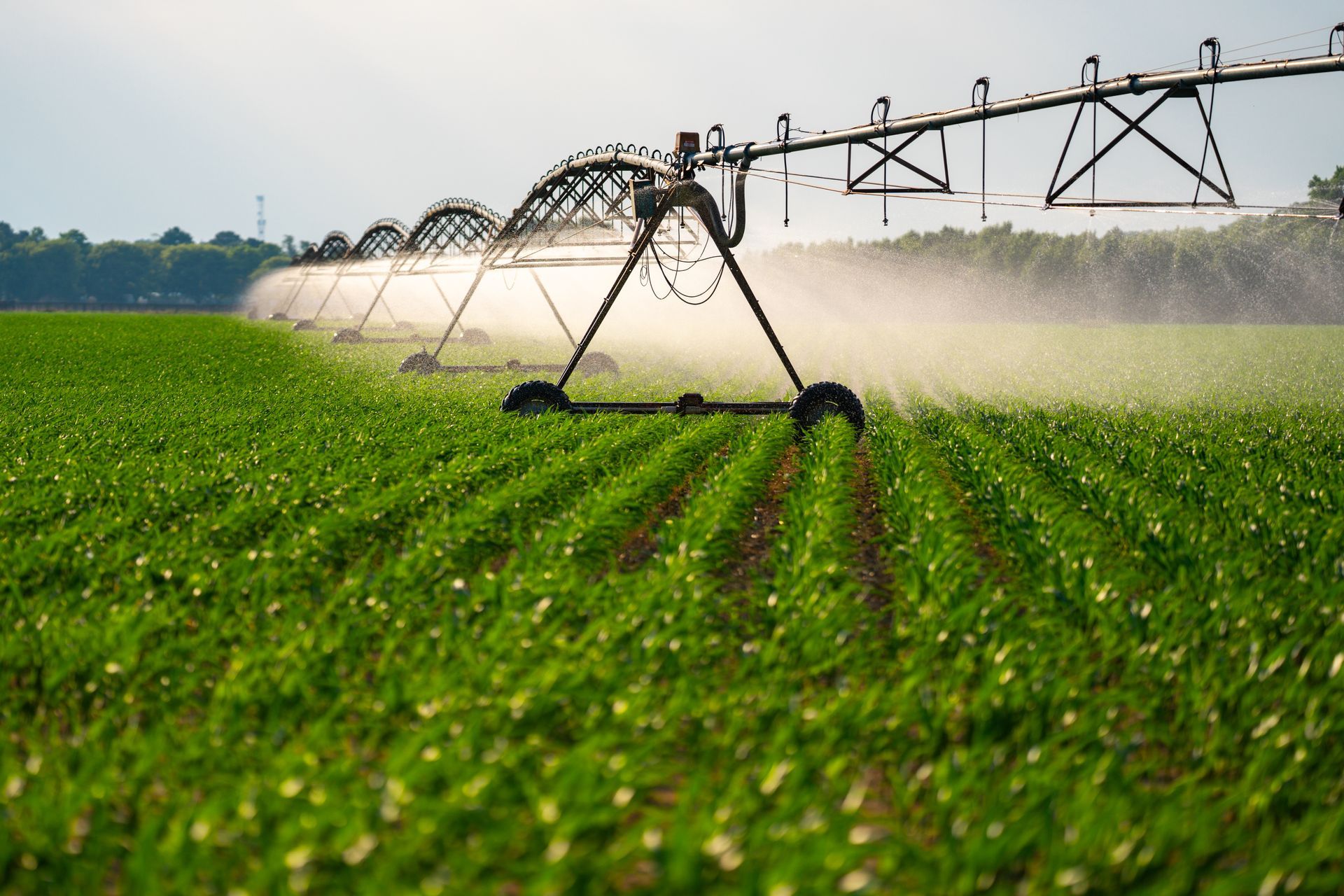 Center pivot irrigation watering a green crop field under a clear sky