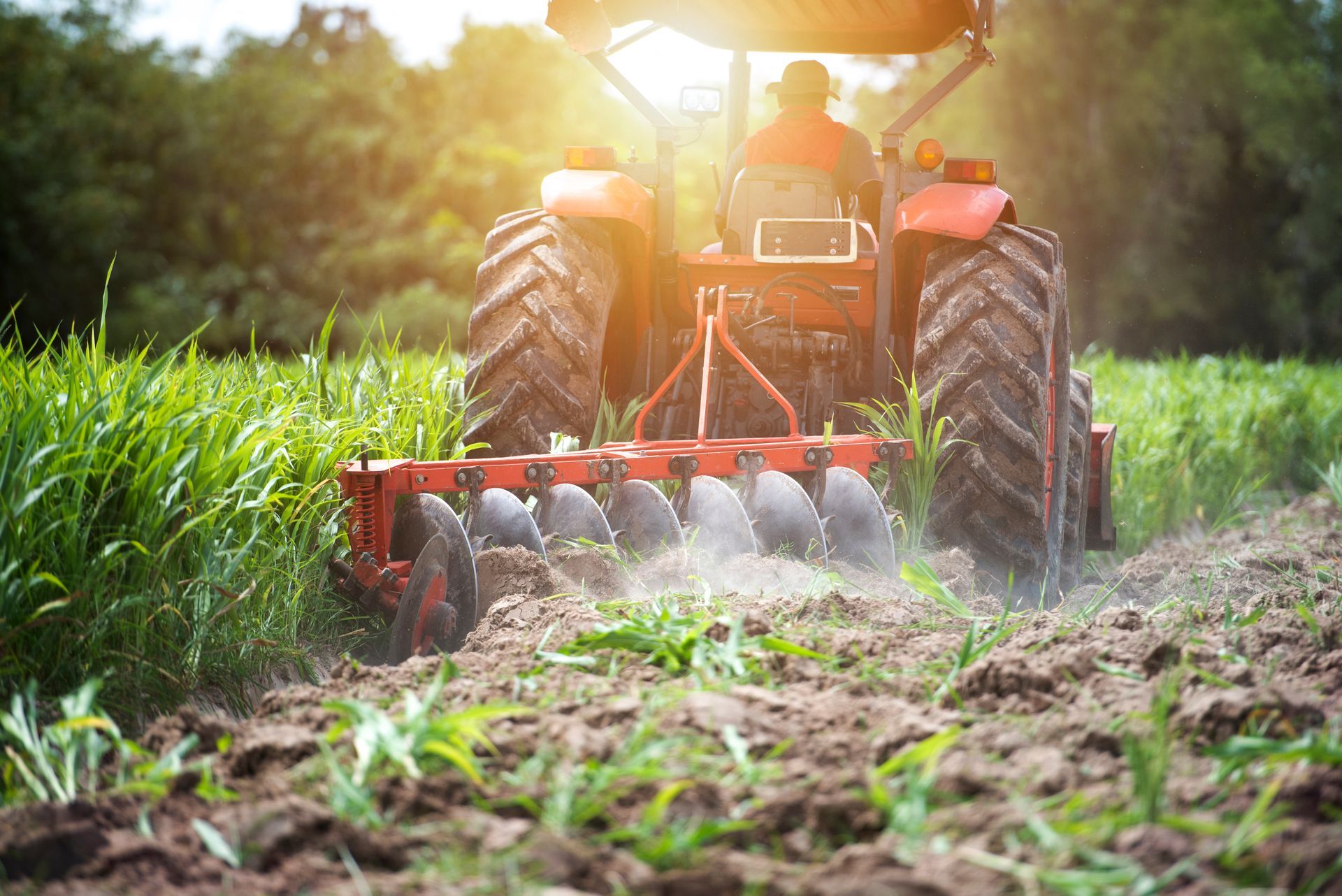 Red tractor tilling a green field at sunrise, with soil and dust kicking up behind it