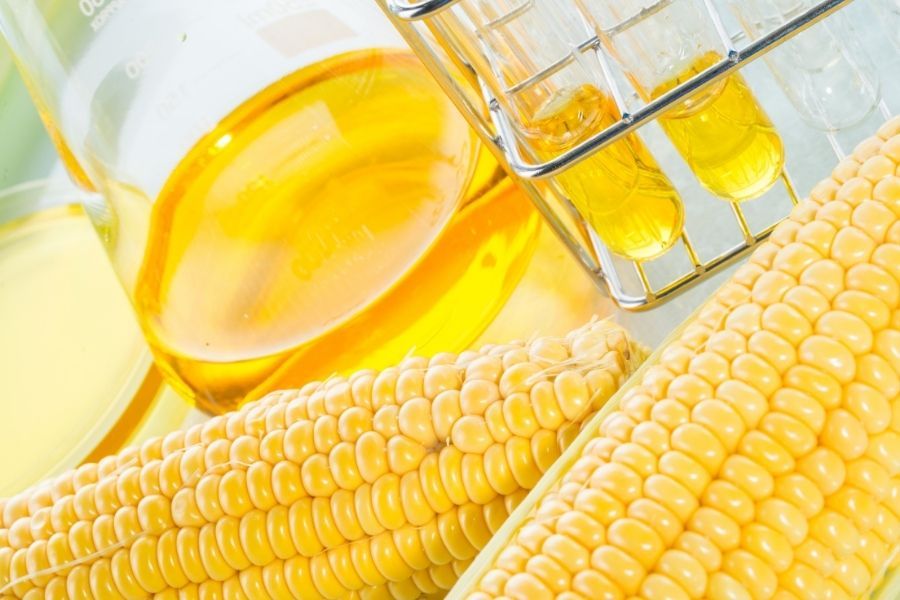 High fructose corn syrup next to two ears of corn.