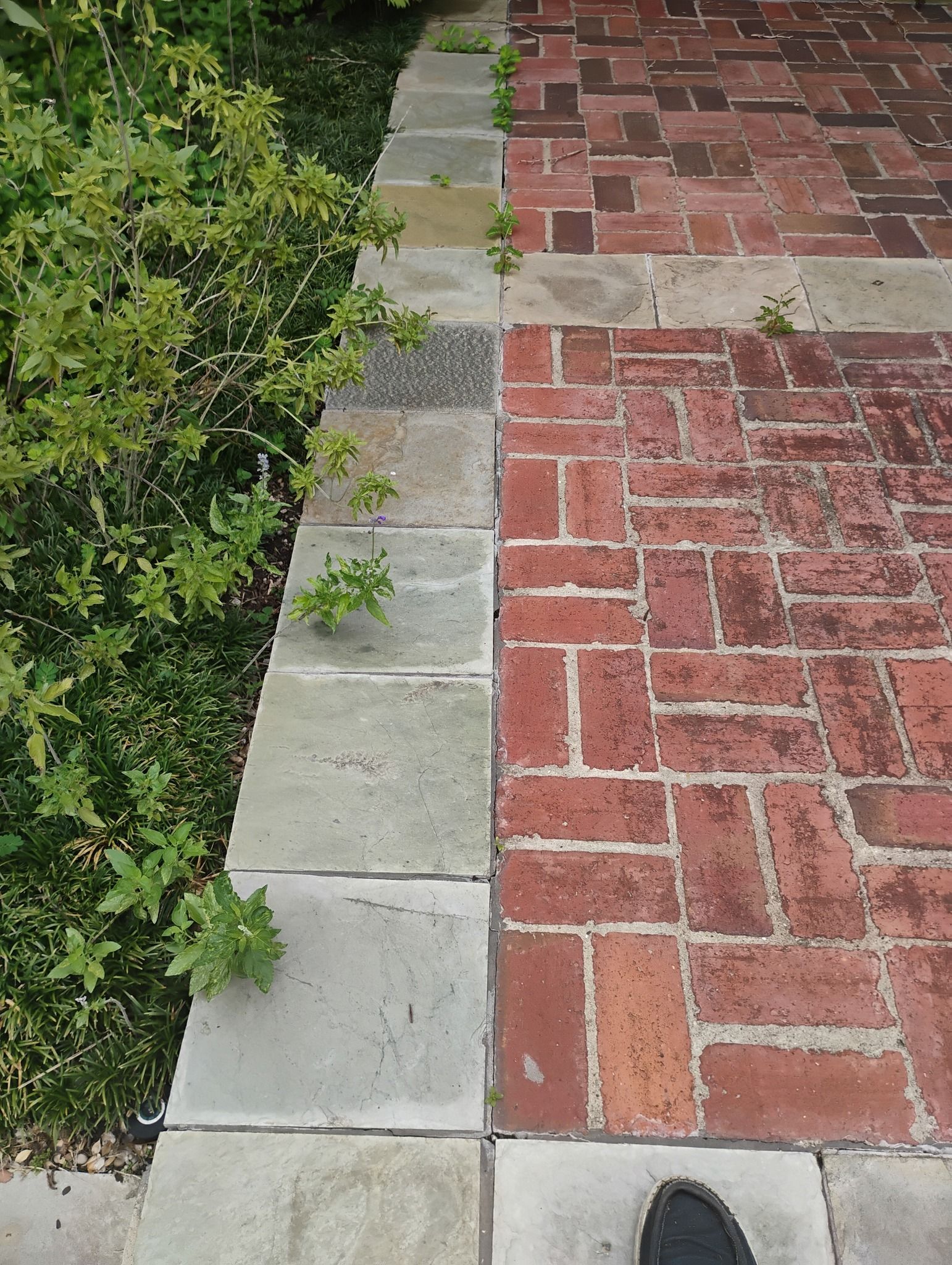 Brick walkway bordered by stone curbing and green shrubs