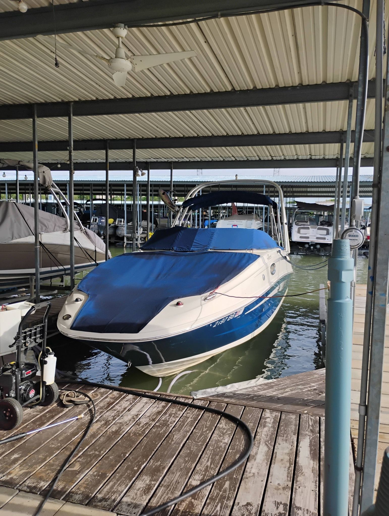 Blue-and-white speedboat docked under a covered marina on calm water