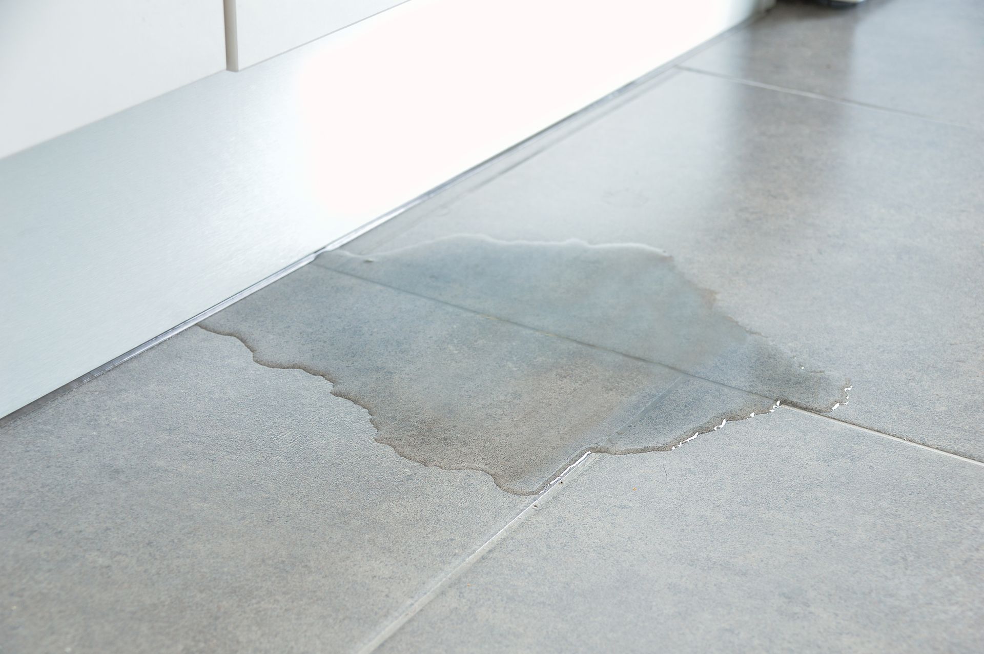 There is a puddle of water on the tile floor.