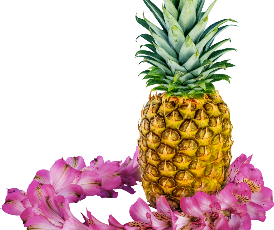 Aloha & Action