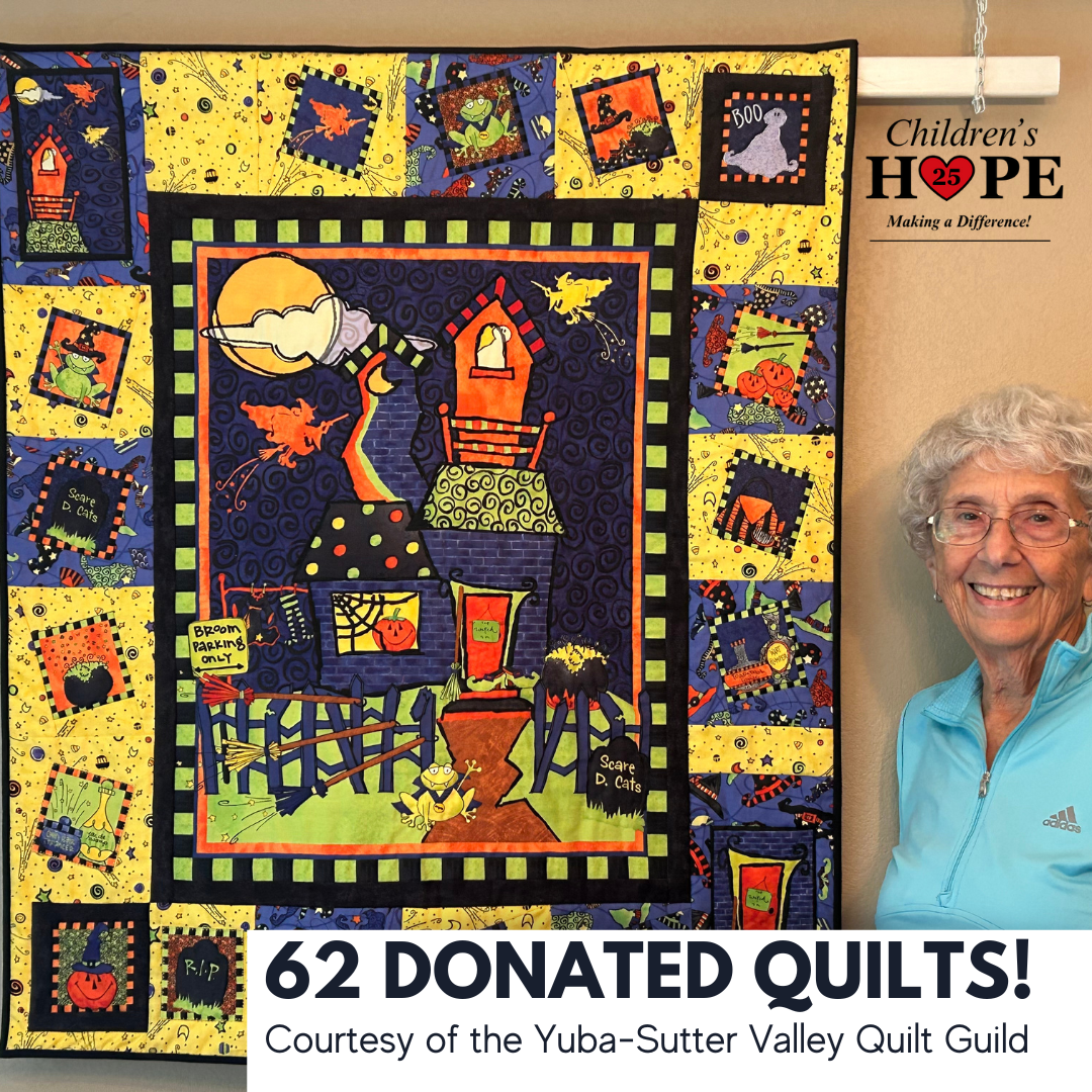 Wrapped in Love: 62 Handmade Quilts from the Yuba-Sutter Valley Quilt Guild