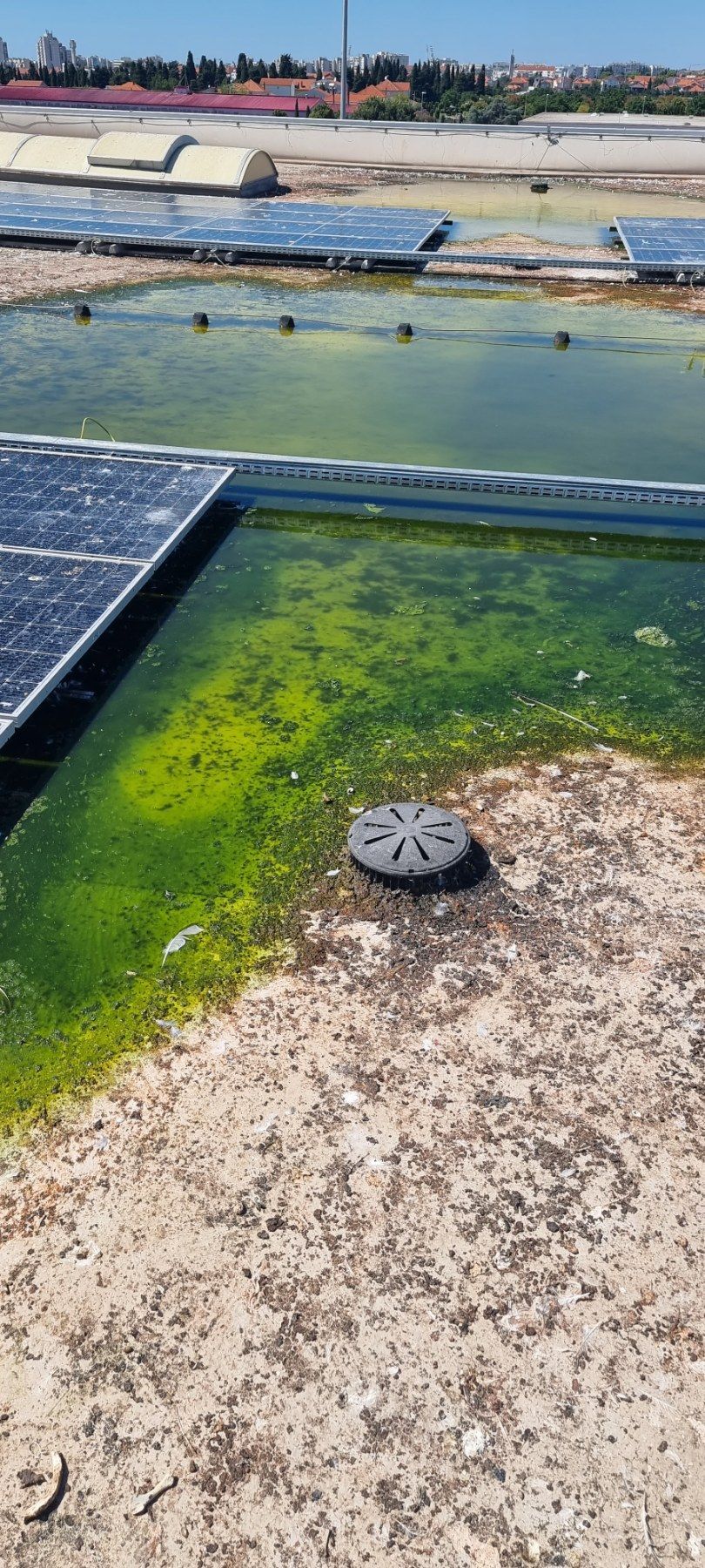 Zaprljani solarni paneli na krovu trgovačkog centra u Dalmaciji