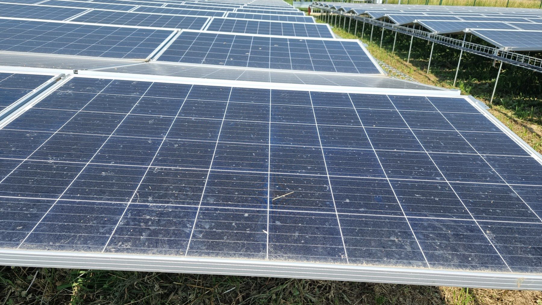 Zaprljani solarni paneli mliječne industrije u poljoprivrednom okruženju