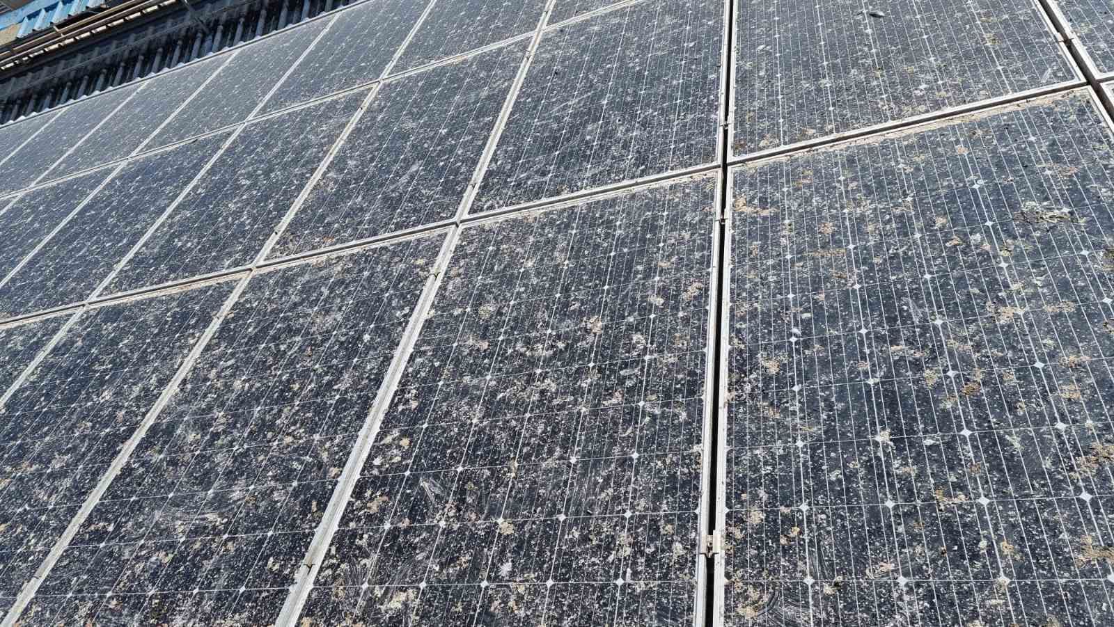 Čišćenje solarne elektrane na farmi muznih krava u Slavoniji – 2.100 m²