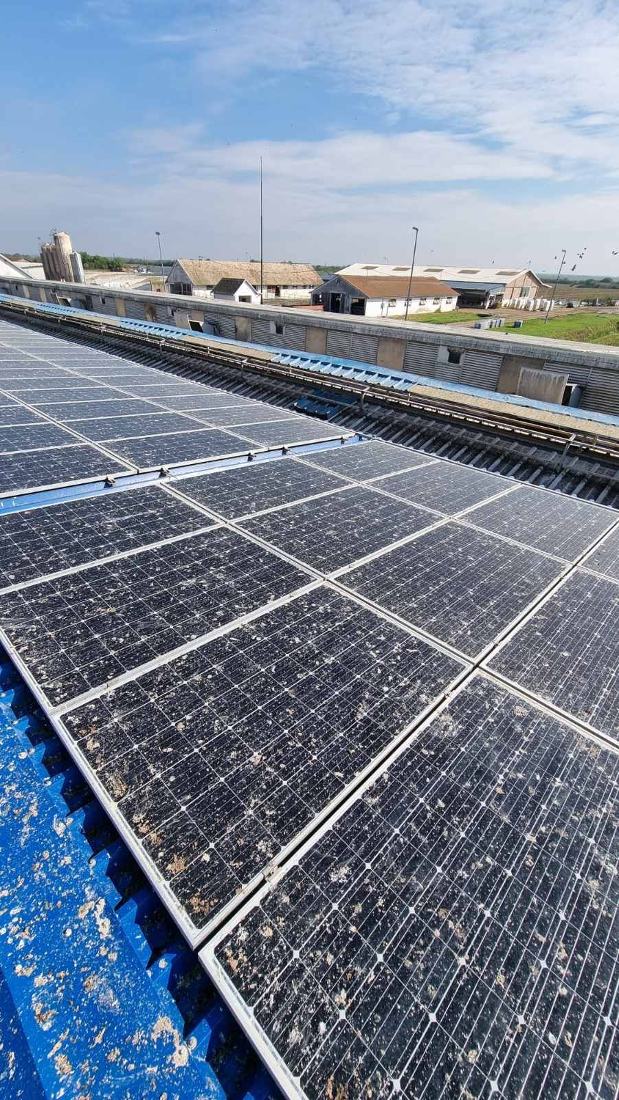 Velike količine ptičjeg izmeta i organskih nečistoća na solarnim panelima
