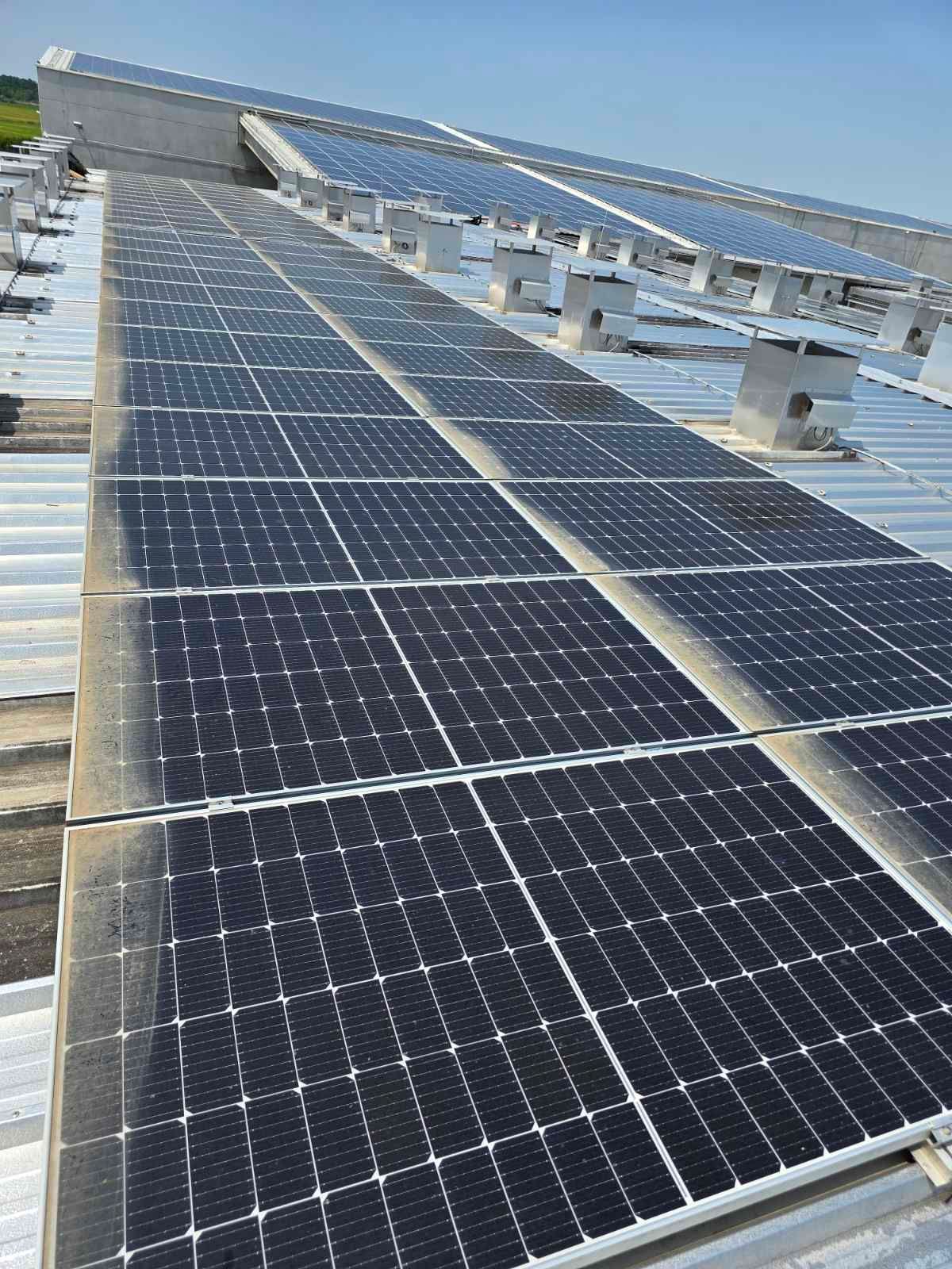 Čišćenje solarne elektrane od 5.050 m² na objektu drvne industrije u Slavoniji
