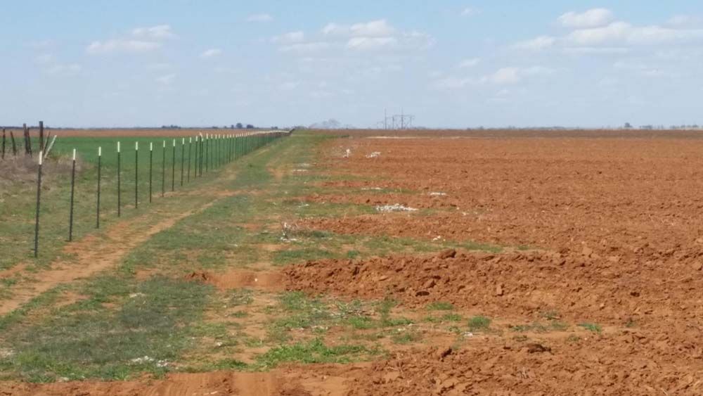 Wide plowed field beside a fence under a blue sky, with a strip of green vegetation along the edge