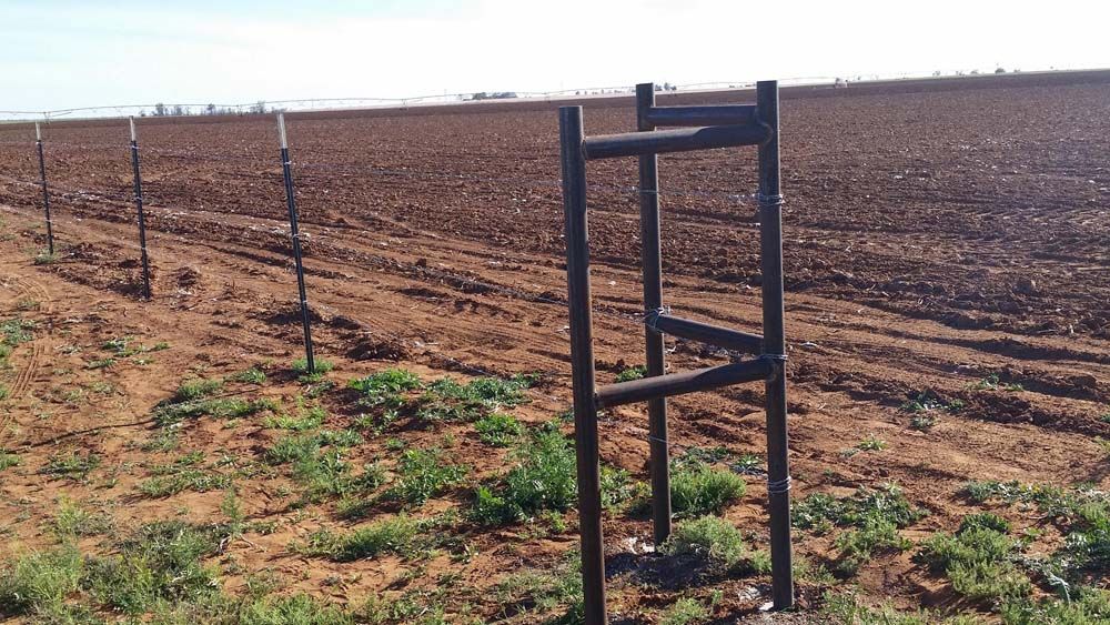 Rural farmland with a wire fence and a wooden gate in the foreground under a clear sky
