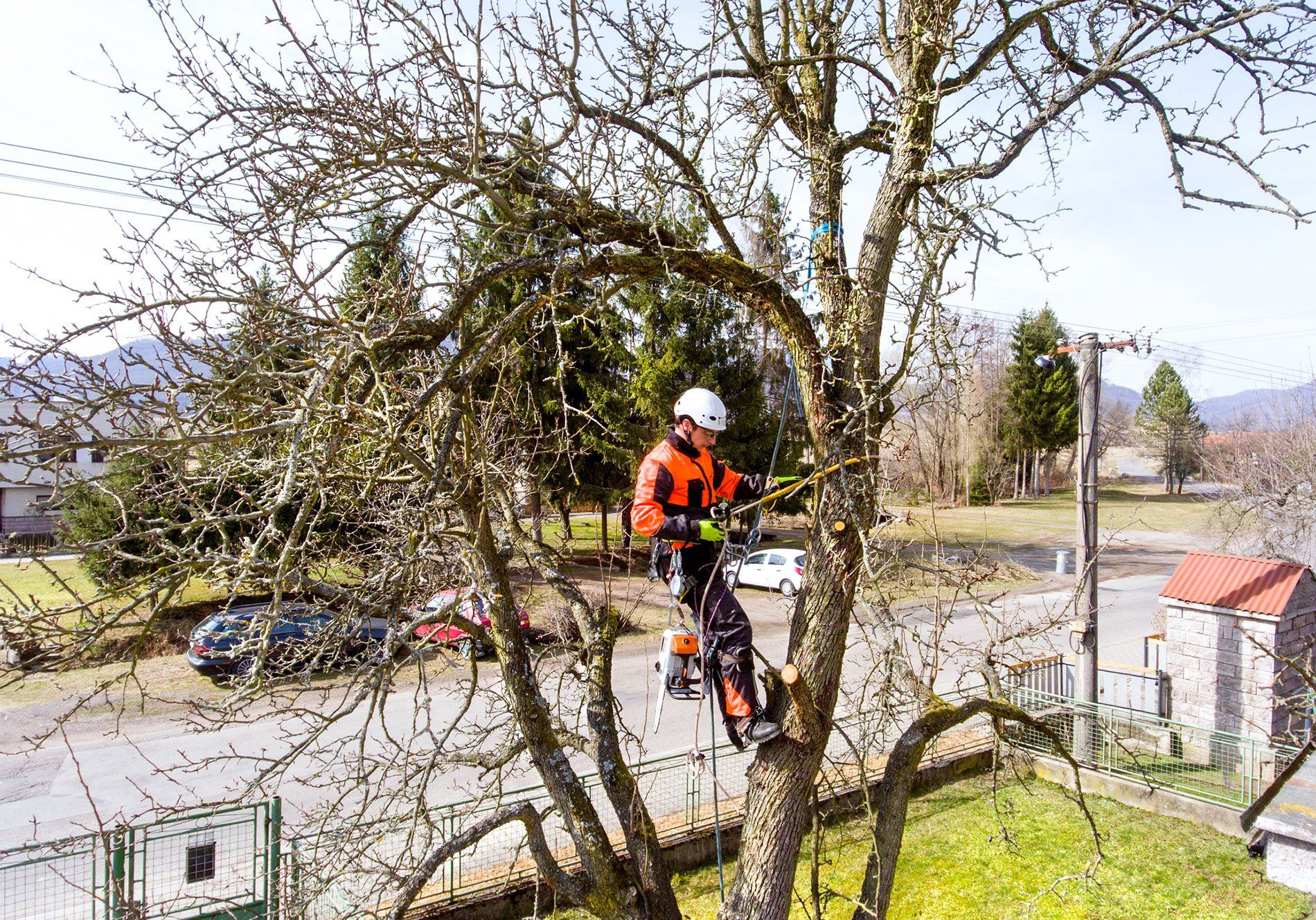 a professional tree service company serving a home in Cheektowaga, NY