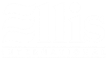 Blank white image with a faint gray band at the bottom