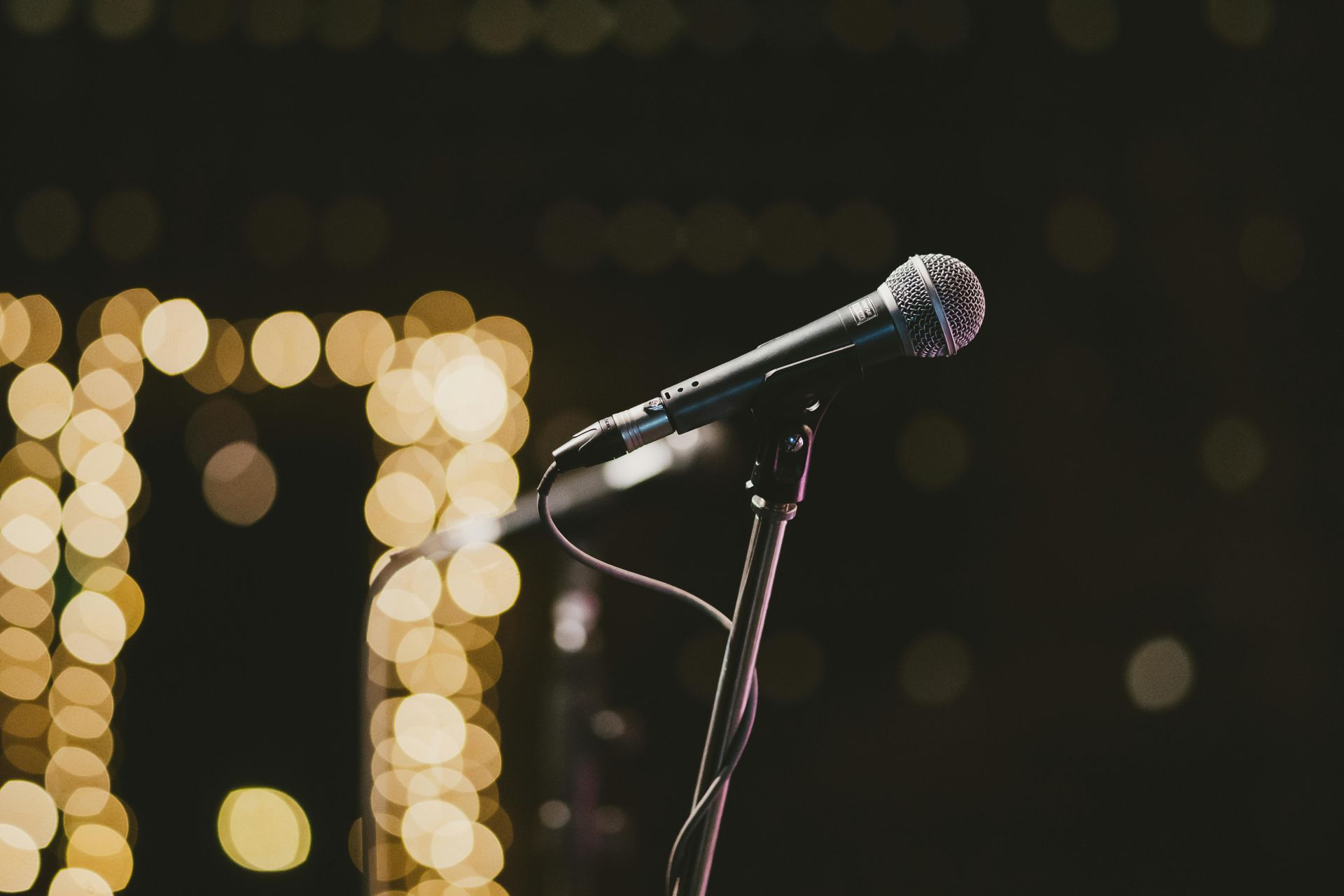 live music la dragon microphone singer