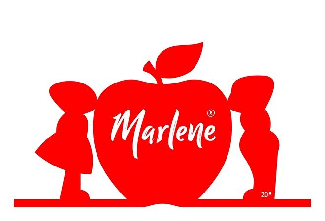 Ontwerp Sticker
