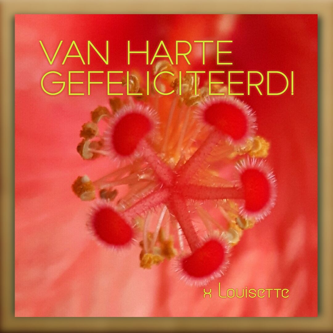 Felicitatiekaart