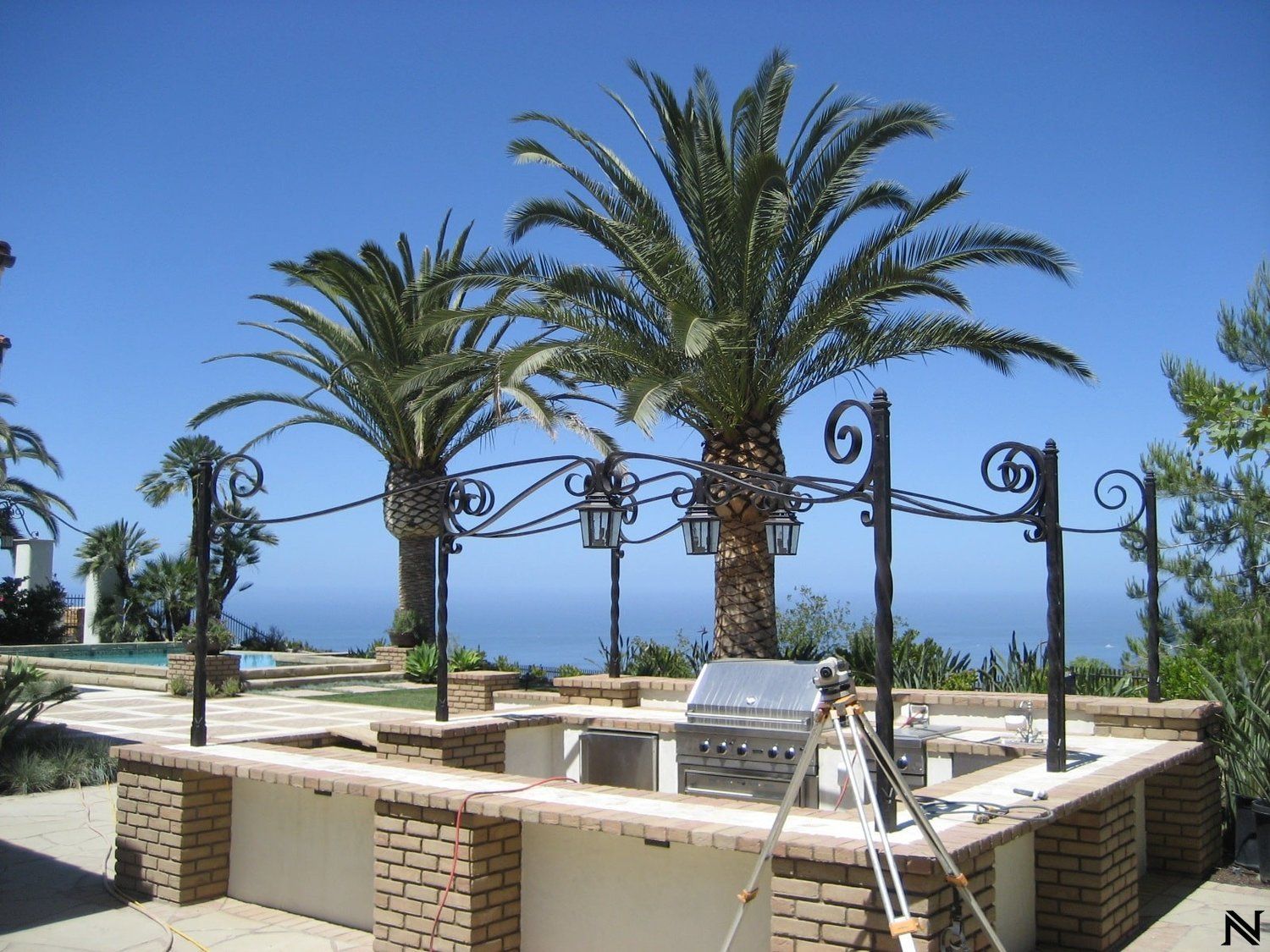 A tripod is sitting in front of a palm tree