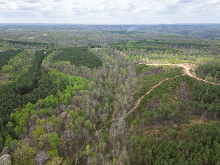 Aerial view of a winding dirt road through dense green forest under a cloudy sky