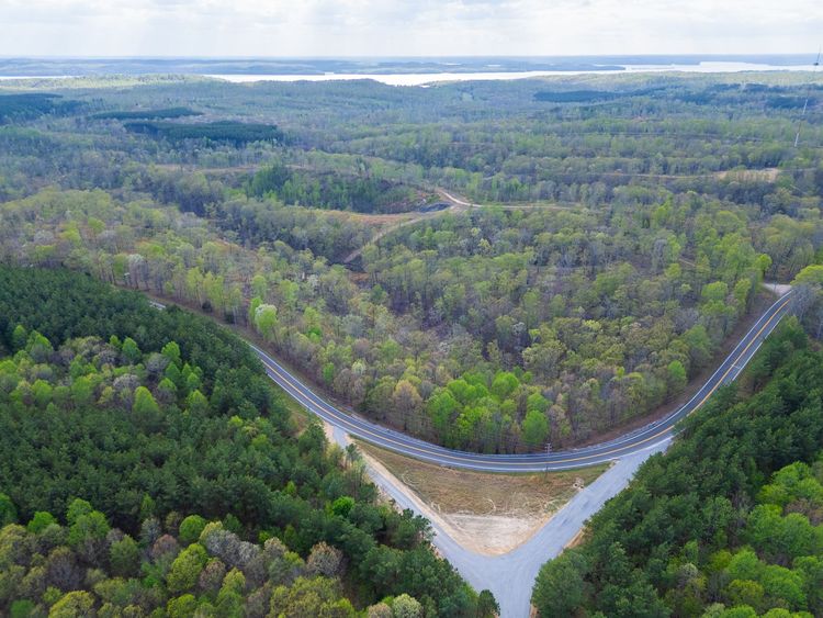 Aerial view of a forested valley with a winding road cutting through dense green trees.