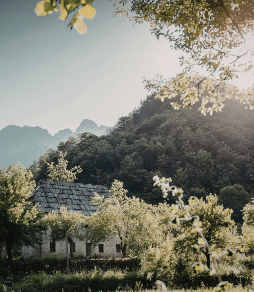 Sunlit cottage amid lush green hills and mountains, with trees and soft morning haze
