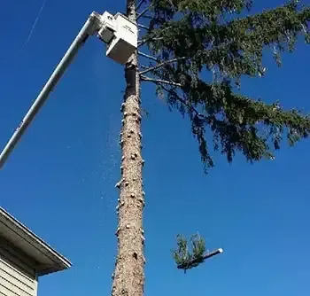 Tree Service Truck — Elmira, NY — Renko Tree Service