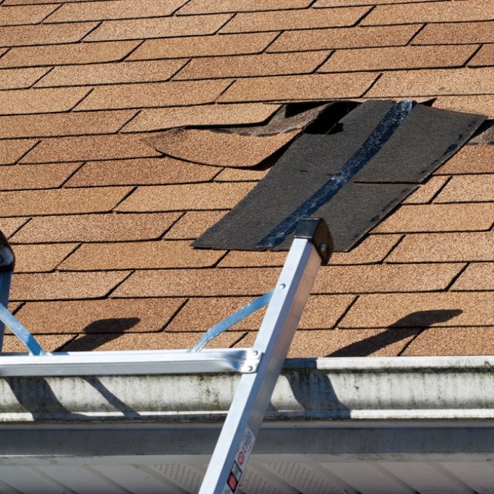 Roof shingles torn loose near a gutter, with a ladder and tarp in place for repair.