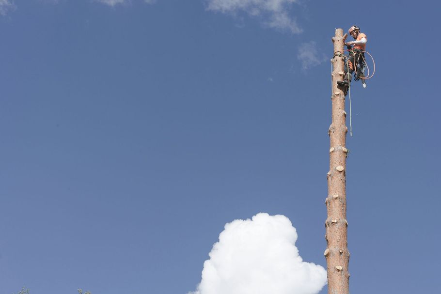 Utility worker on a tall wooden pole against a blue sky with clouds