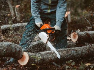 Person in blue hoodie using an orange chainsaw to cut a log in a forest.