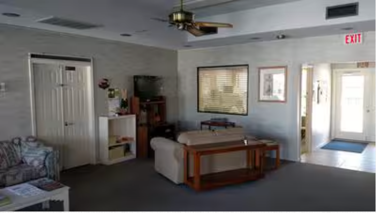 A living room with a couch and a ceiling fan